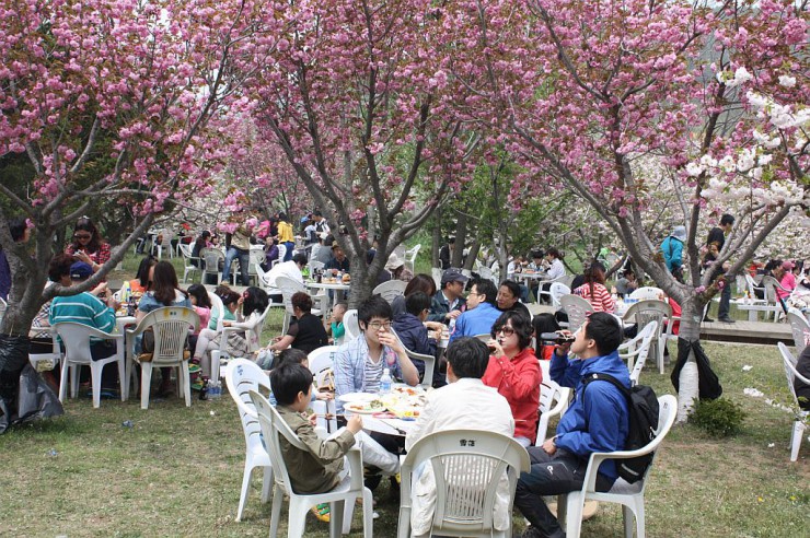 桜の下で料理を楽しむお花見会の参加者たち