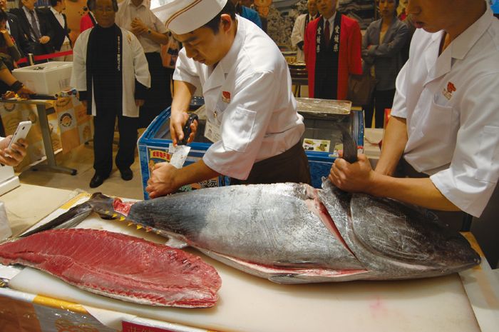 来場者を魅了したマグロの解体